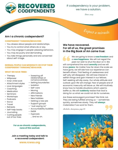 RC-Flyer-v